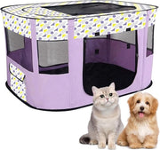 Cassa per Animali - Cassetta per Animali Raffreddabile per Cuccioli - 1 Unita - Blu