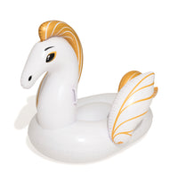 BW:GONFIABILE PEGASO CM.159X109 41121