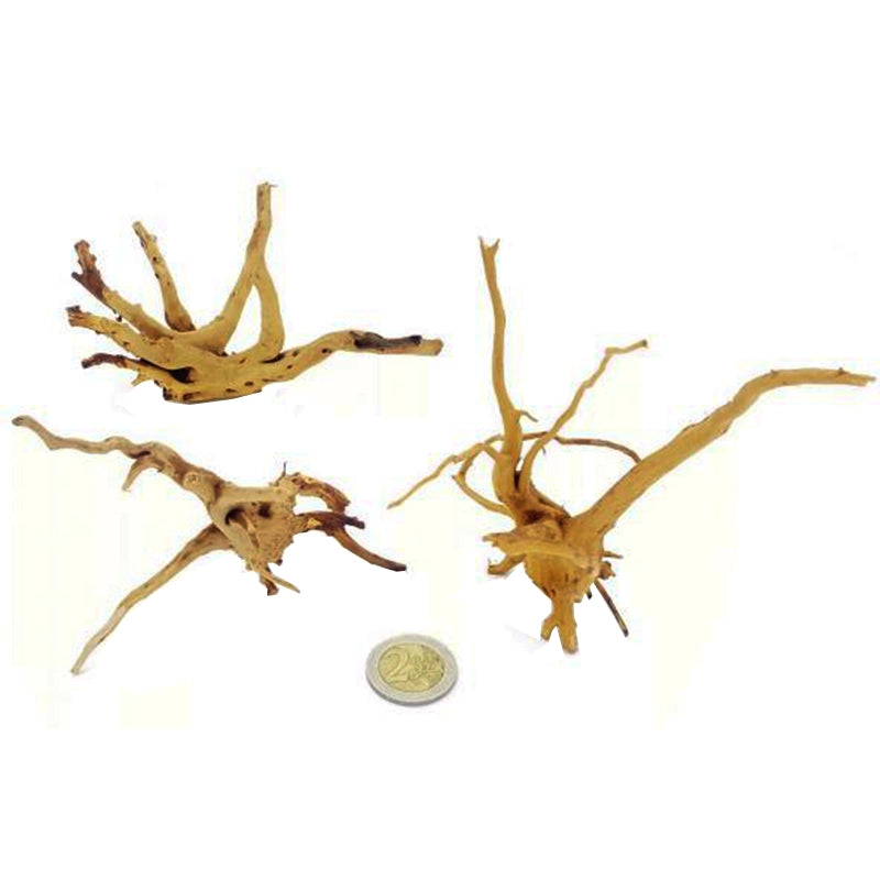 DecorLine Nano Spider Wood 5-10cm 1pz - Mini Legno Decorativo Ideale per Nano Acquari e Aquascaping