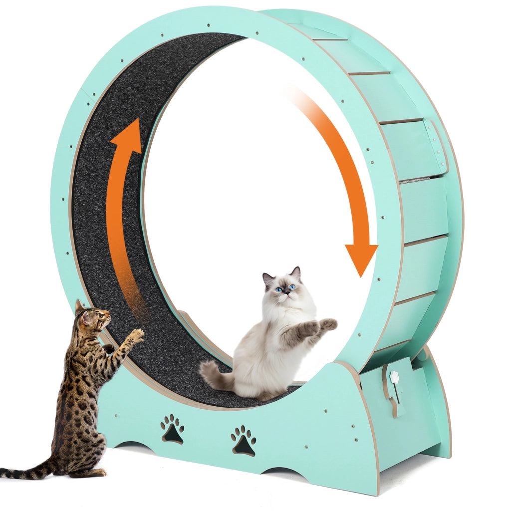Ruota da Allenamento per Gatti in Legno, Verde Menta, 90x36,5x105cm