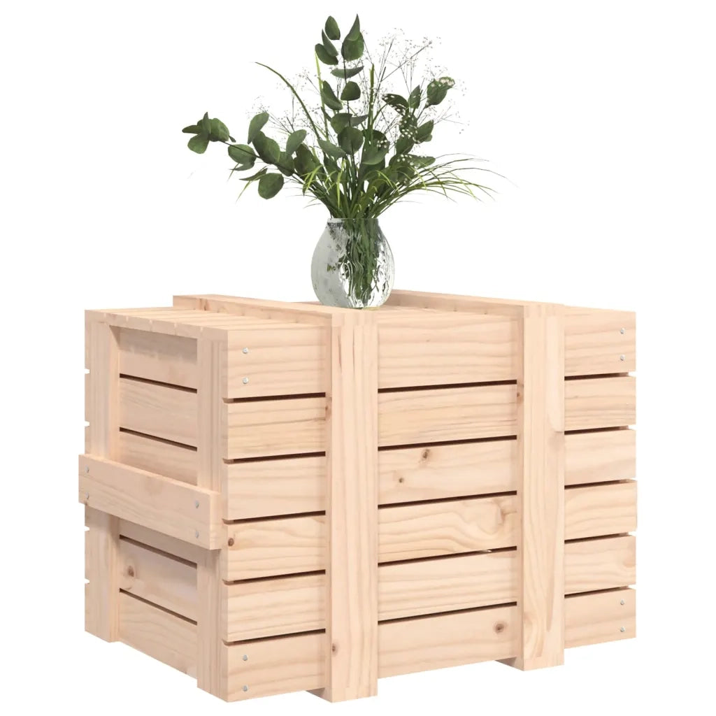 Contenitore Portaoggetti 58x40,5x42 cm Legno Massello di Pino 824993