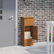 Cassetta per pacchi con porta Ruggine 44,5 x 29 x 110,5 cm 874932