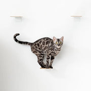 Trappola per gatti set da 3 - scala per gatti moderna - bianca e legno - 16 x 12 cm