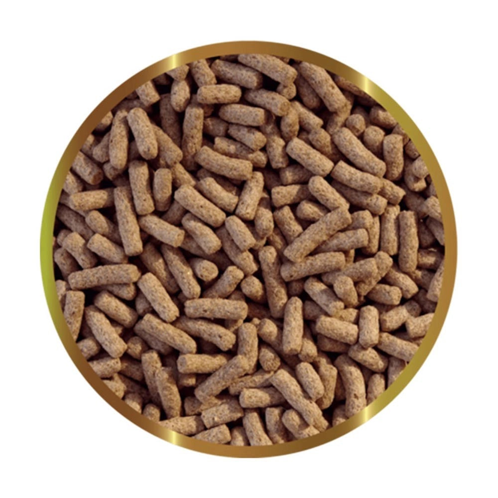 SHG Gammarus Stick - Mangime Completo per Tartarughe Acquatiche Formato: 400 gr
