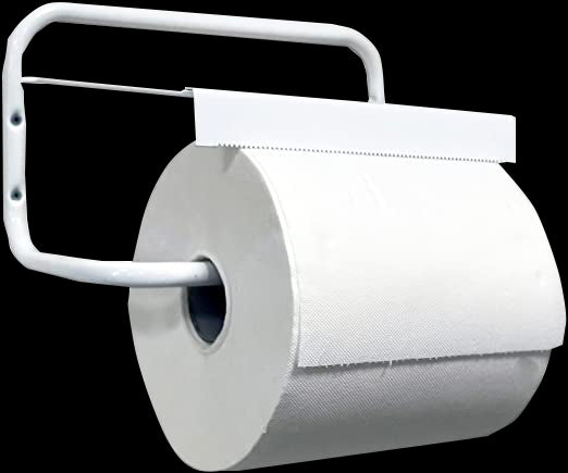 Tecnokit Dispenser portabobina carta a muro, viti e tasselli per montaggio inclusi, molle incluse, Bianco, porta rotolo da cm 29, 40X30X16 H