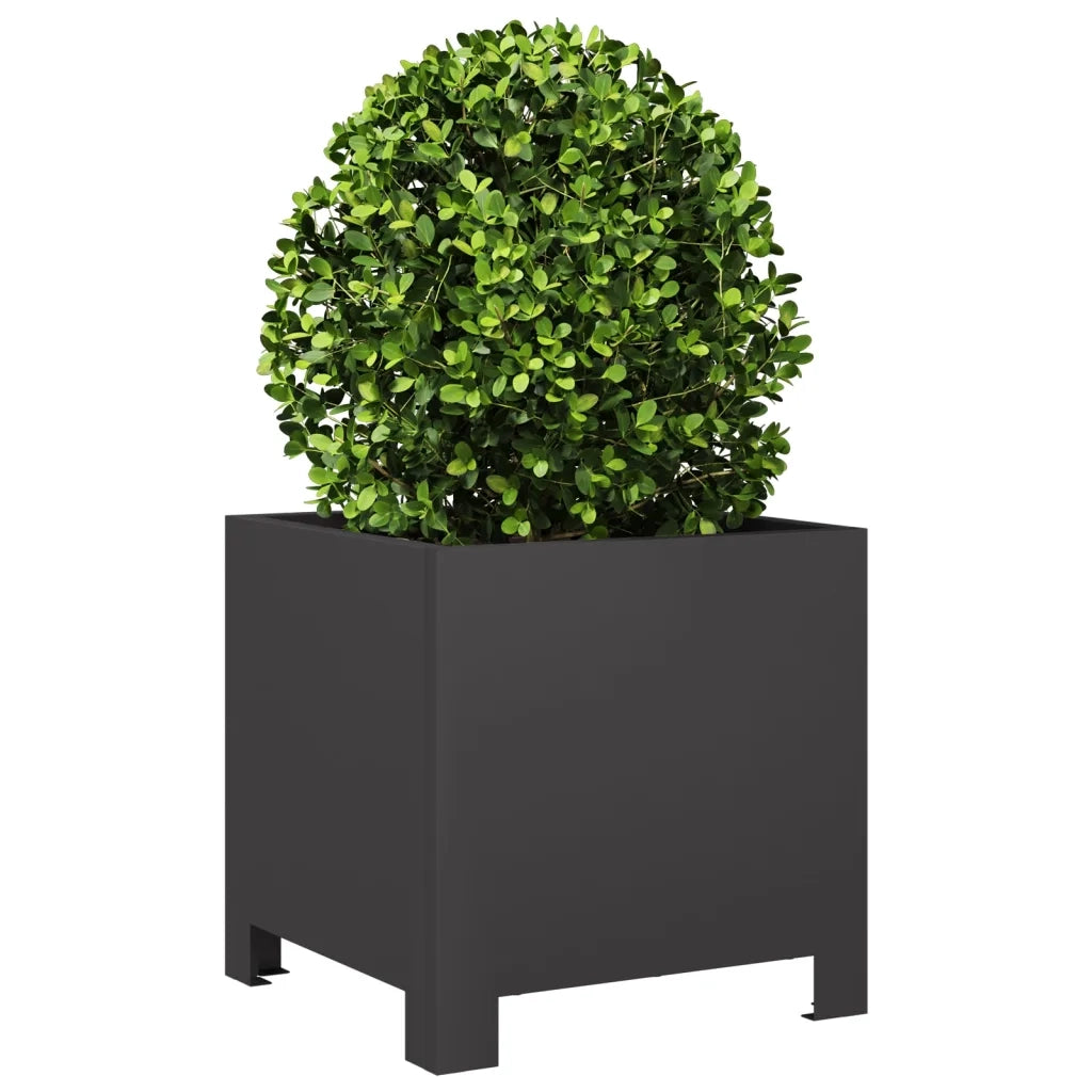 Fioriere da Giardino 2 pz Nere 30x30x30 cm in Acciaio