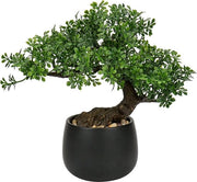 Pianta ornamentale da bonsai da 25 cm - Vaso ceramico - Decorazione estetica giapponese