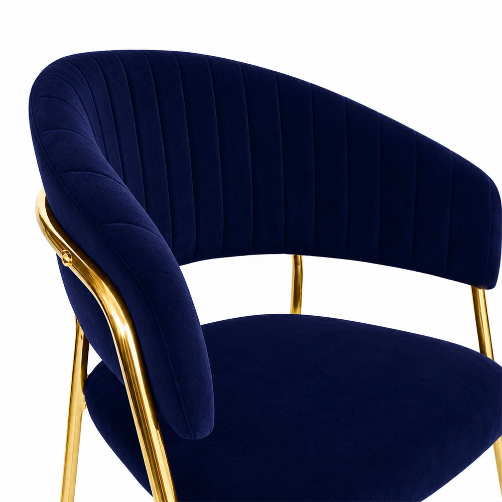 Sedie da sala da pranzo set da 2 Aurelia con schienale in velluto blu notte