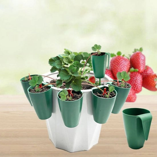 Set di coltivazione di fragole - 5 pezzi con 20 forchette per fragole - Lame piatte - Fessure di ventilazione - Attacco a gancio