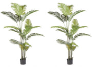 Set 2 Piante Artificiali di Kenzia Ø100x180 cm in Plastica con Vasi Verde