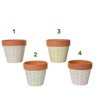 CITRONELLA IN VASO 11,5X11 CM