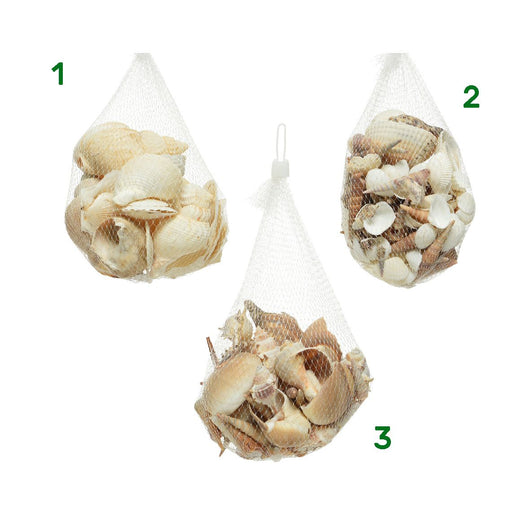 DECORAZIONE CONCHIGLIE