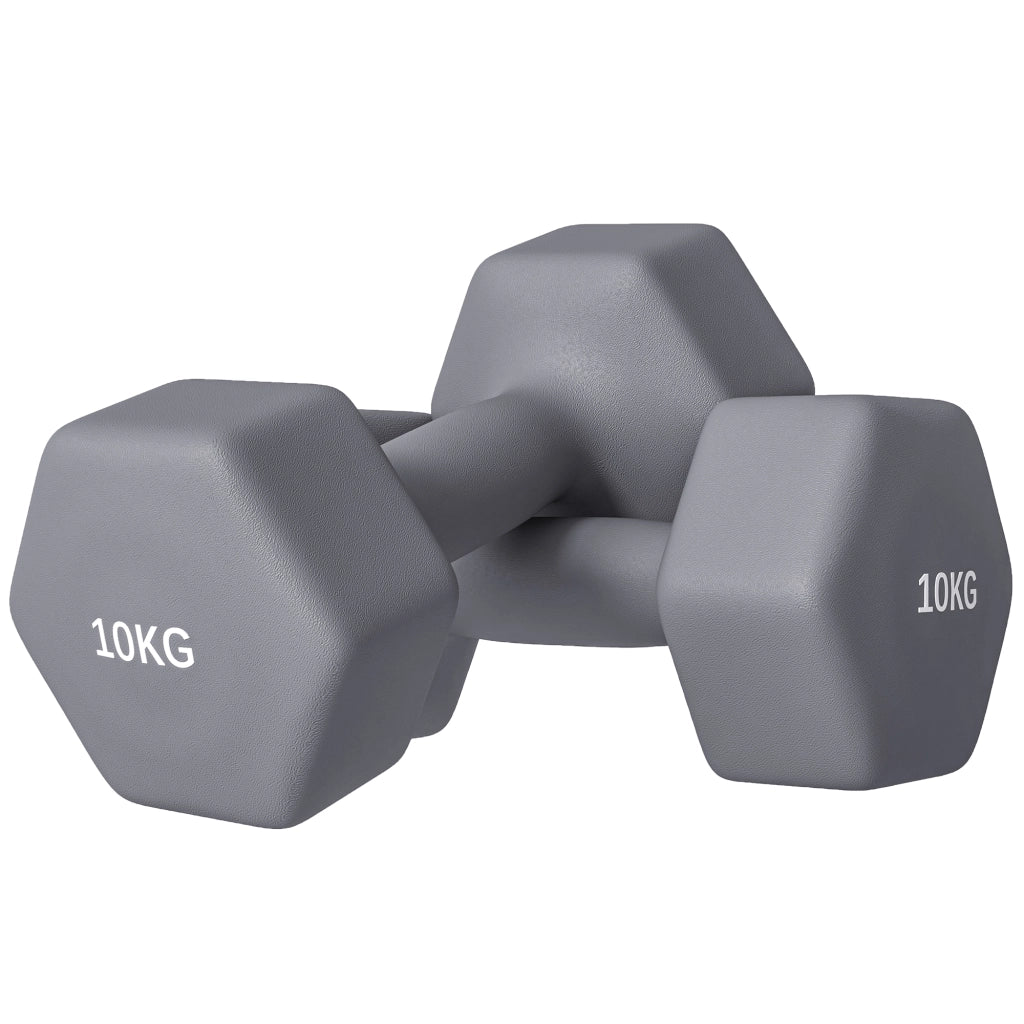 Manubri Esagonali 2x10 kg ¨C zephmum ¨C Grigio Metallo Plastica 26x12x12 cm