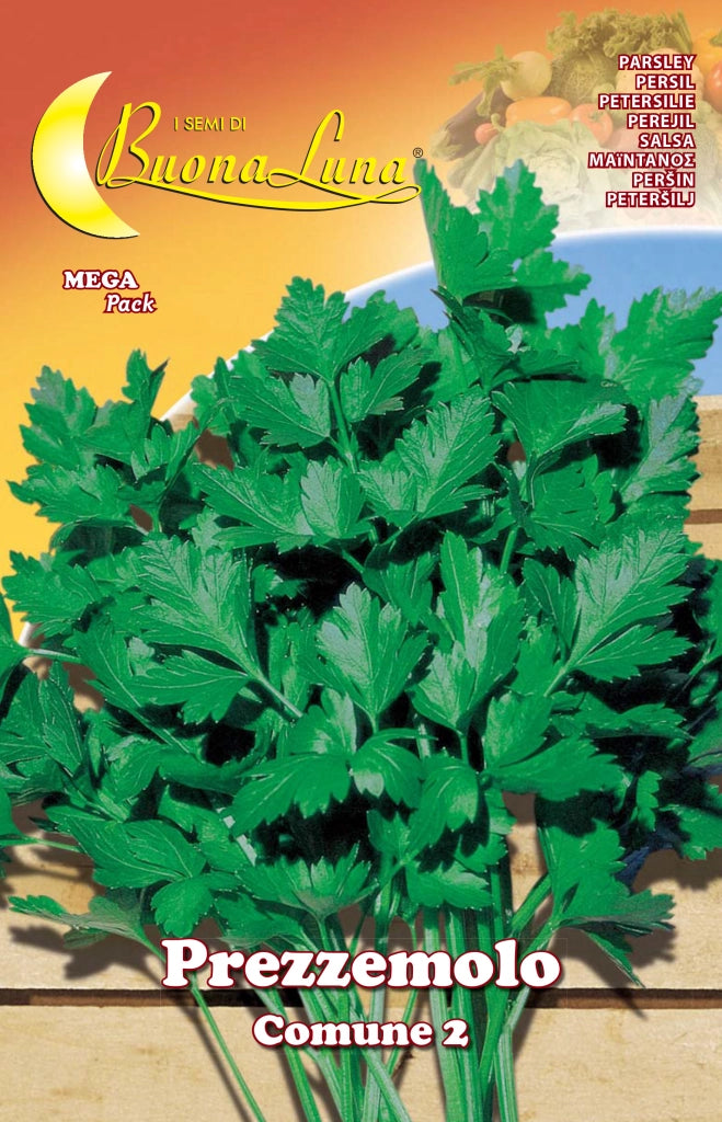 SEMI ORTO PREZZEMOLO COMUNE 2- HORTUS SEMENTI- 10,0 pz