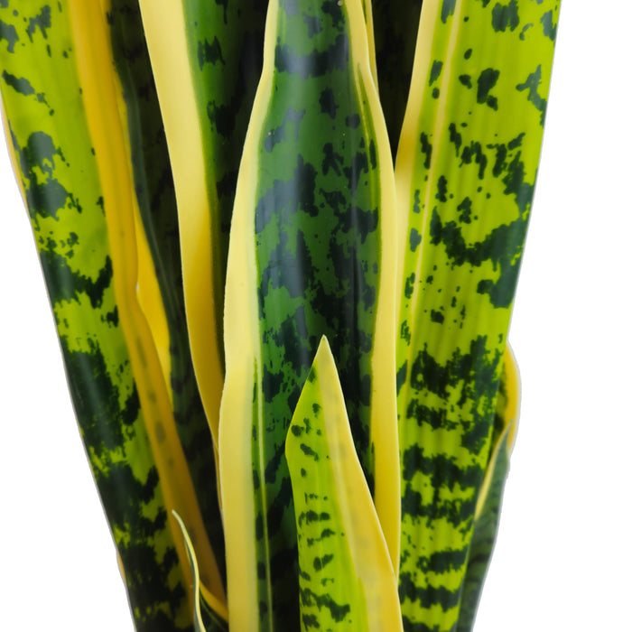 Pianta artificiale per interno Sanseveria cm 65 bicolor con vaso in ceramica