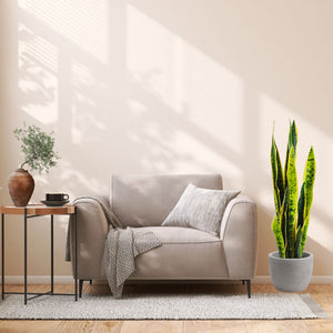 Pianta artificiale per interno Sanseveria cm 65 bicolor con vaso in ceramica