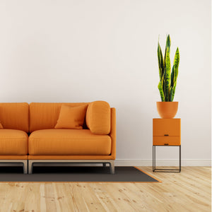 Pianta artificiale per interno Sanseveria cm 65 bicolor con vaso in ceramica