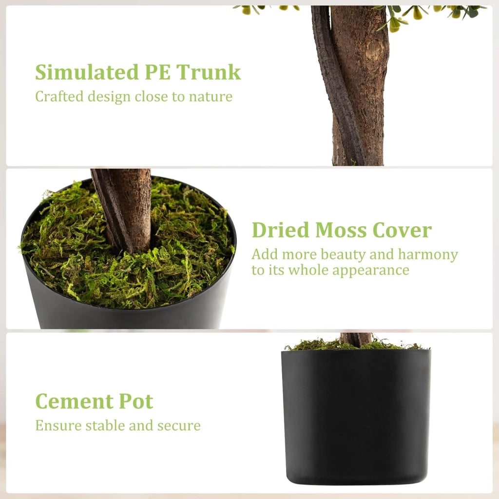 Set di 2 alberi artificiali Topiari di Bosso, piante finte con foglie realistiche in PE e tronco simulato, vaso di cemento e copertura di muschio, pianta per ingresso, soggiorno