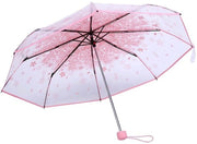 Parasole trasparente - Impermeabile al vento - Ripiegabile - Maniglia robusta - Stile compatto - Materiale ecologico - Parasole da pioggia