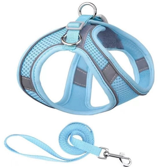 Cinturone per gatti - Linea di cinturone per cani anti-fuga - Cinturone per gatti regolabile - Giacca respirante per gatti con riflessi - Linea di giacca per cani piccoli e medi - XS