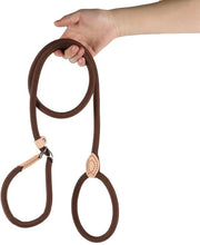 Cinturone per cani da 150 cm, con meccanismo di slittamento, adatto per cuccioli, cani piccoli, medi e grandi. 14mm*150cm