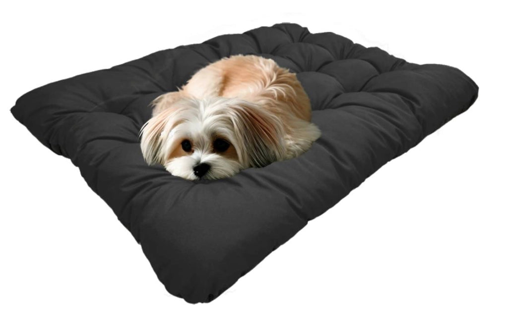 AIO FACTORY 80x60 cm PRESTIGE Cuccia per cani impermeabile personalizzabile Nero