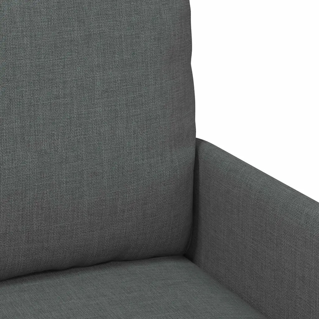 Divano | Divano da soggiorno | Sofa con cuscino 55cm Grigio scuro Legno compensato
