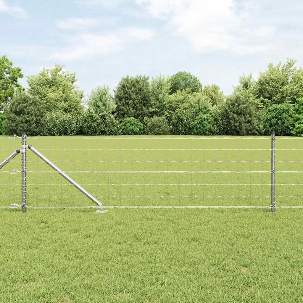 Recinzione con Posto Argento 0,8 x 25 m Acciaio