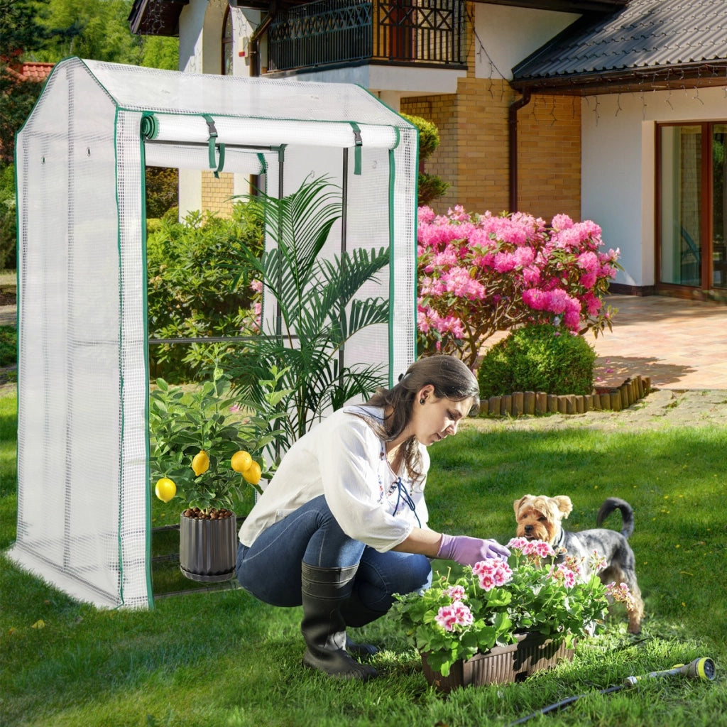 Serra da giardino accessibile con struttura in acciaio, Serra con 2 porte a cerniera copertura in PE Bianco-Serre da giardino
