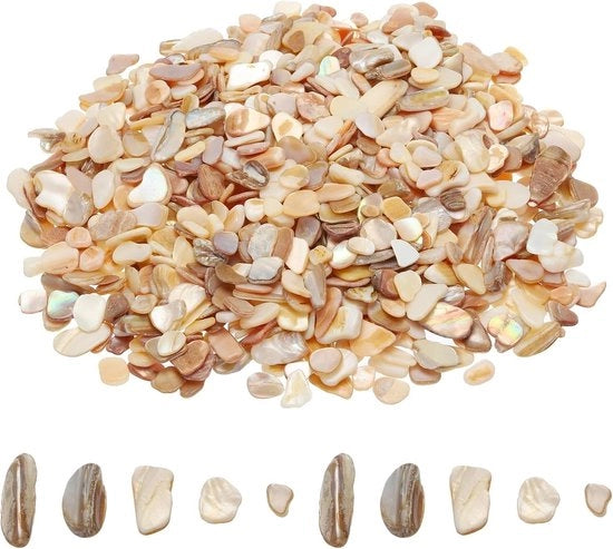 Conchiglie in polvere da 1000 g per decorazione domestica, artigianato, progetti di fai da te