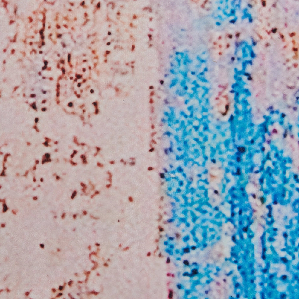 Tappeto tappetino Moquette Tessuto in poliestere blu Motivo astratto invecchiato Fondo rivestito in gomma 80 x 150 cm