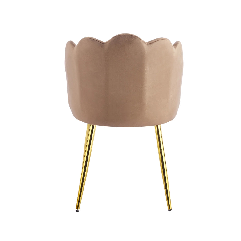 Poltroncina Elegante in Velluto con Schienale a Conchiglia, Cuscino e Gambe in Acciaio, Sedia Imbottita elegante Tortora