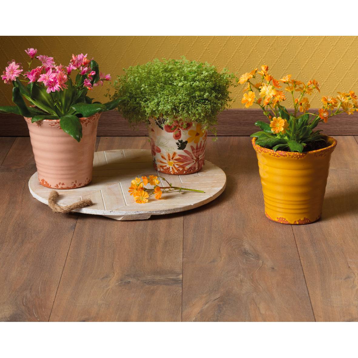 VASO TERRACOTTA 14X13,5 CM