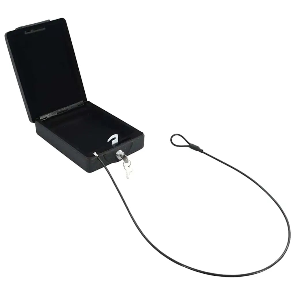 Cassaforte per Auto con blocco Nero 22 x 16 x 7 cm Acciaio CFW9225871