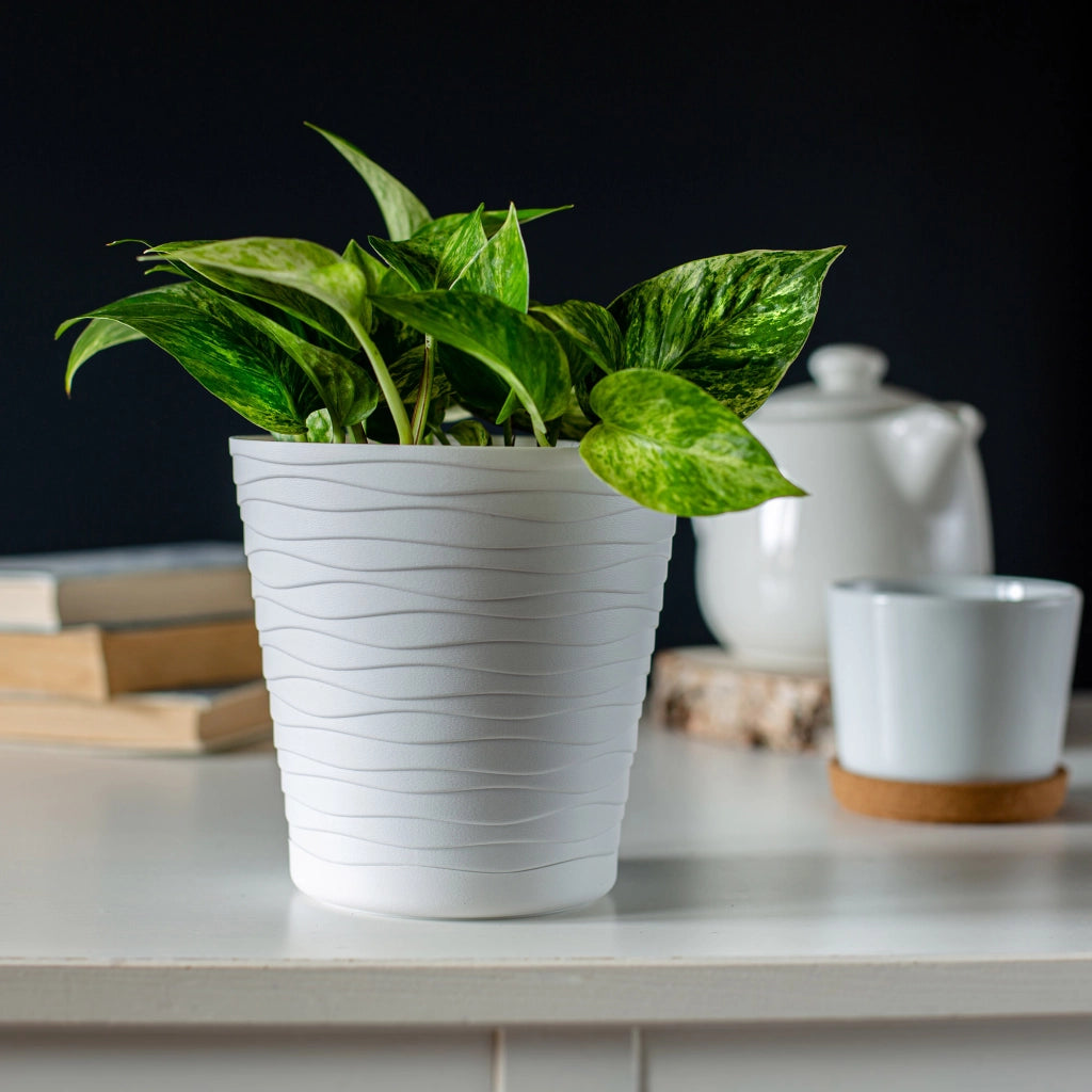 Vaso da fiori KADAX da 30 cm, con coperchio in plastica e supporto.