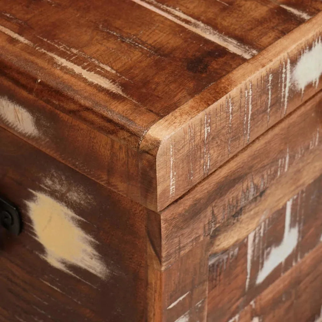Scatola di Stoccaggio con porta Marrone Legno di mango massello 4104570