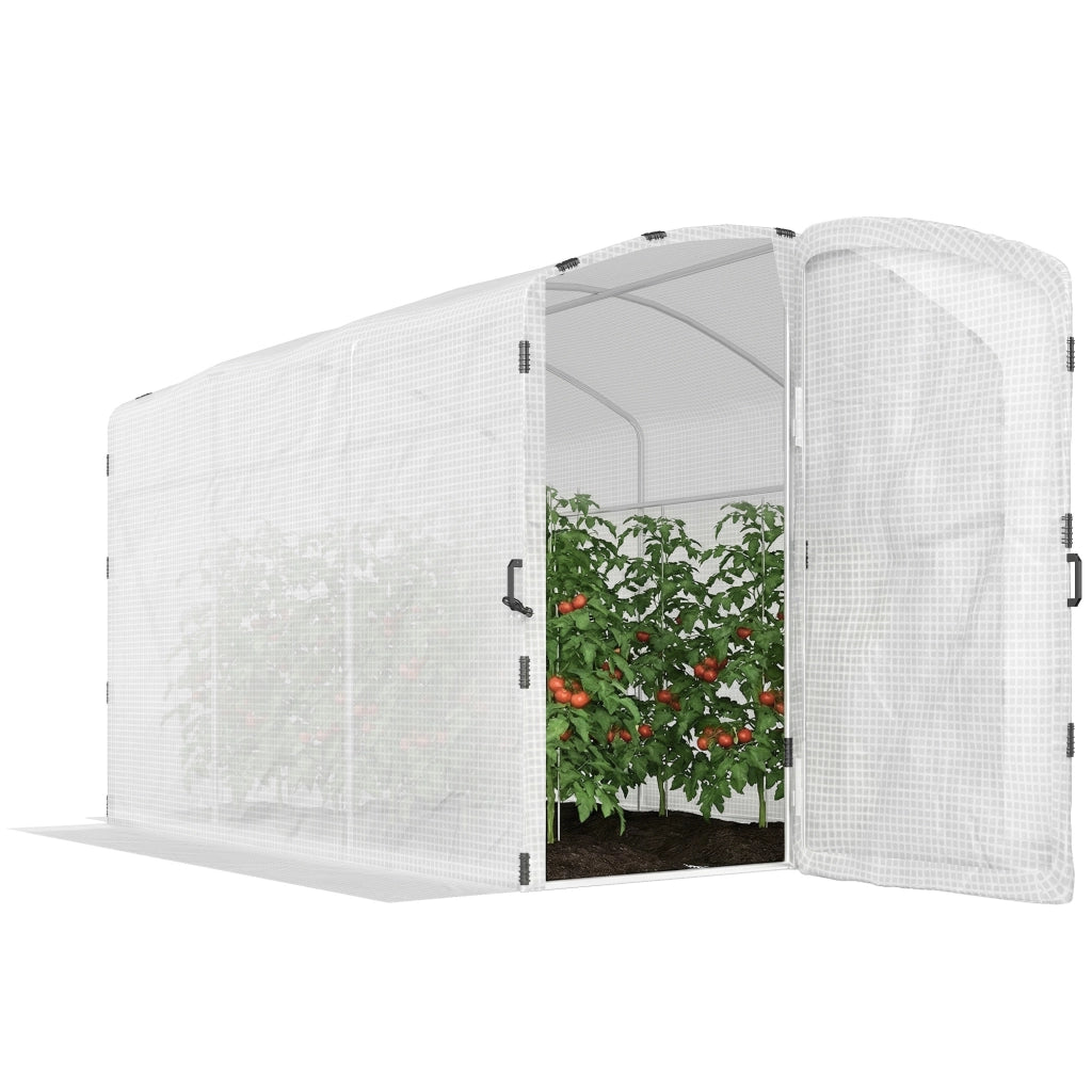 Serra tunnel giardino 6m2 ¨C zephmum ¨C 300x200x195cm bache PE 220g/m2
