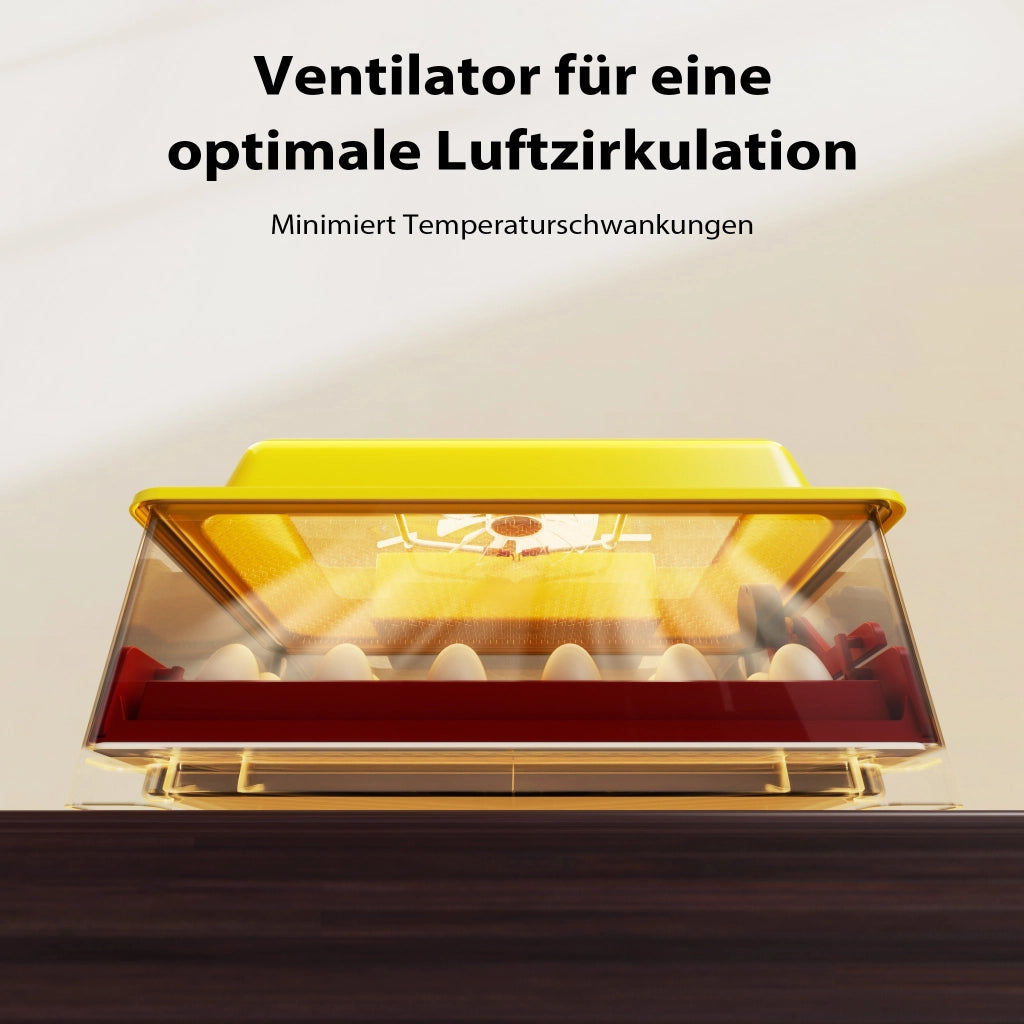 Incubatrice automatica per 24 uova, con regolazione temperatura e umidità, Covatrice