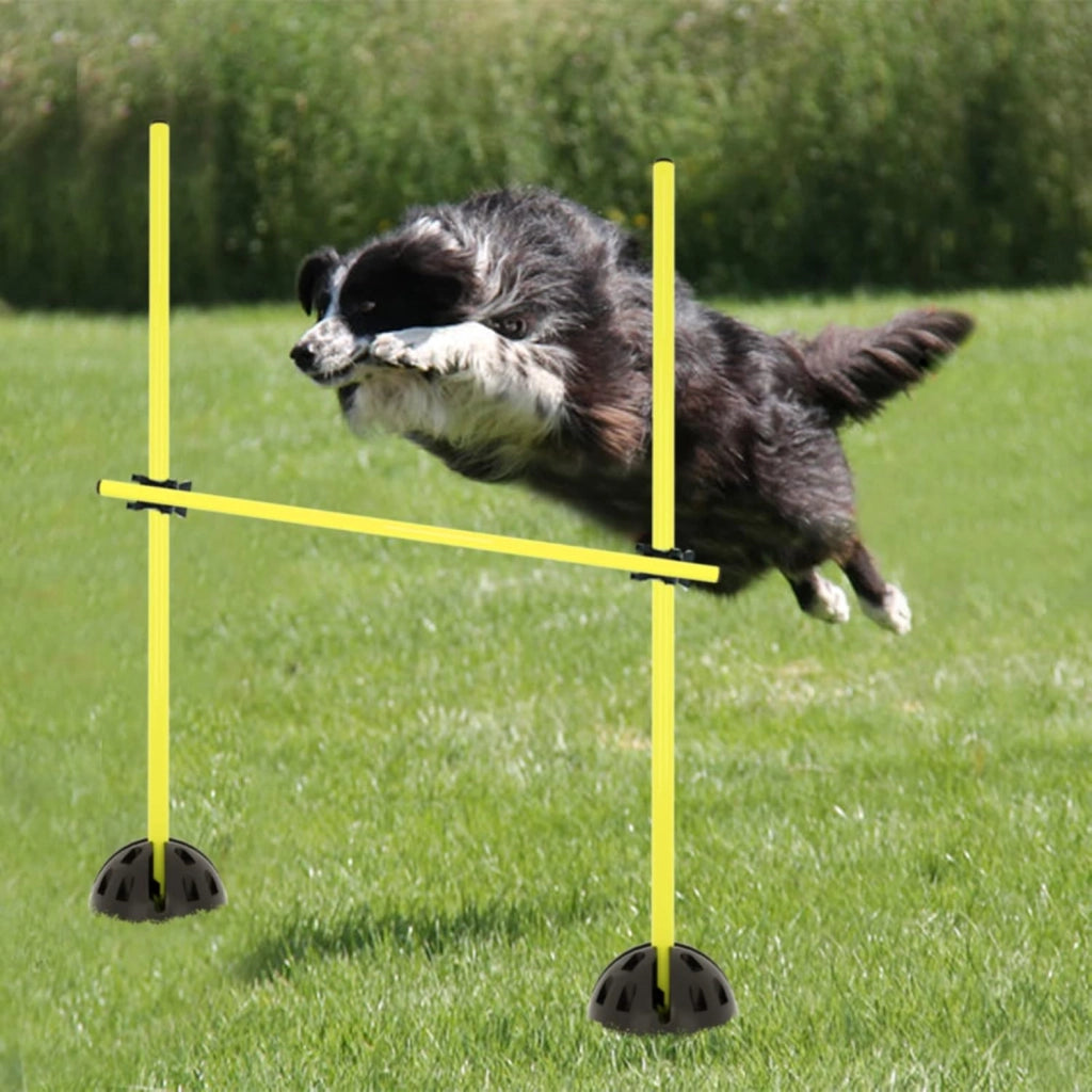 FIVMEN Agility Hostens, set di aste per allenamento per rimbalzo, dribbling e mobilità, aste slalom, hobby horse ostacoli