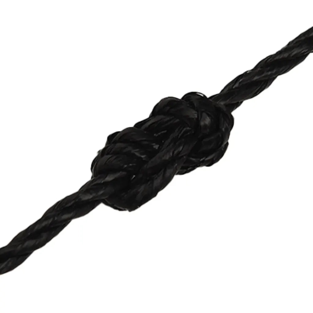 Corda da Lavoro Nera 3 mm 25 m in Polipropilene cod mxl 42889