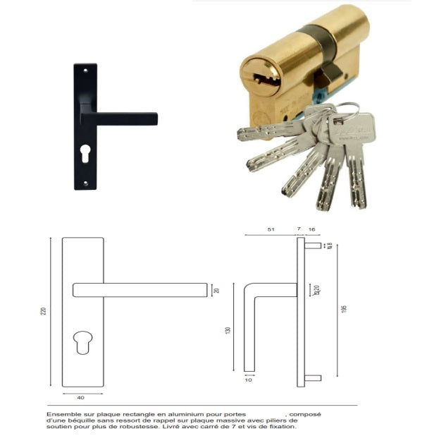Porta d'ingresso in Legno Massello, Eyden, H.215xl.90 p. destra + Maniglia E Canna (ref010723NO) Dimensioni Tavolo senza maniglia