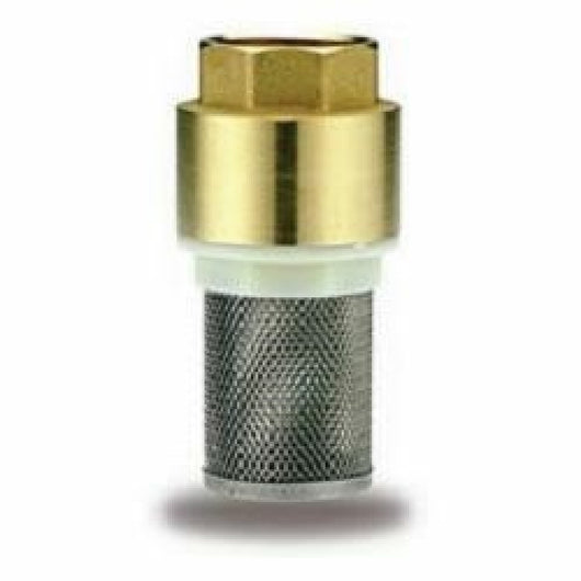 Valvola di ritegno con filtro in ox d.3/4  b07k1c75mz