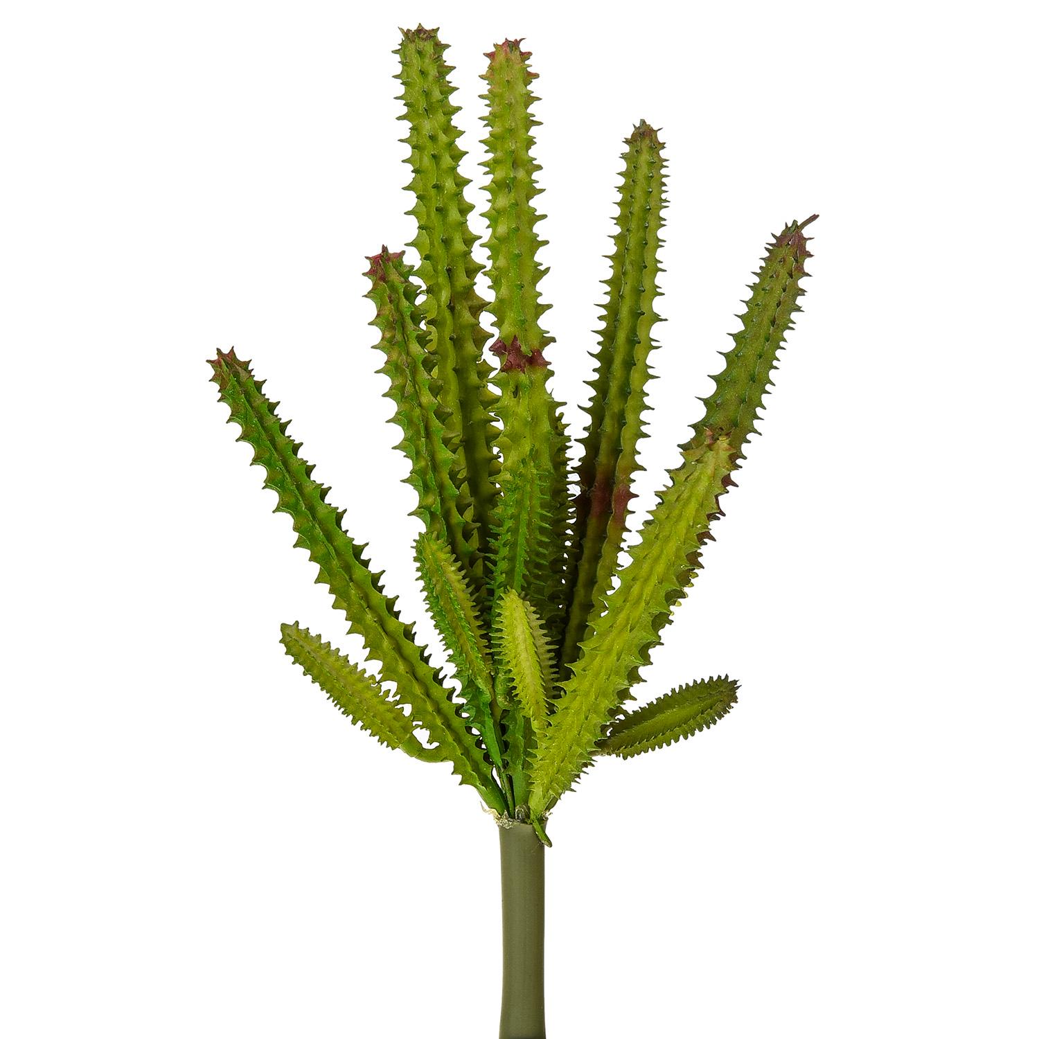 Set 6 Echeveria Cactus Artificiale Altezza 23 cm Verde