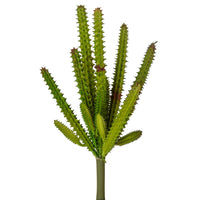 Set 6 Echeveria Cactus Artificiale Altezza 23 cm Verde