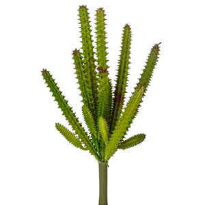 Set 6 Echeveria Cactus Artificiale Altezza 23 cm Verde