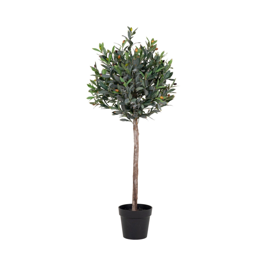 Pianta Artificiale Ulivo, Verde, Polietilene, 43x47x120 cm