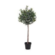 Pianta Artificiale Ulivo, Verde, Polietilene, 43x47x120 cm