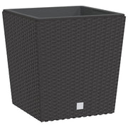 Fioriera | Cassetta per fiori | Vaso con Interno Rimovibile Marrone 21 / 32 L PP Rattan