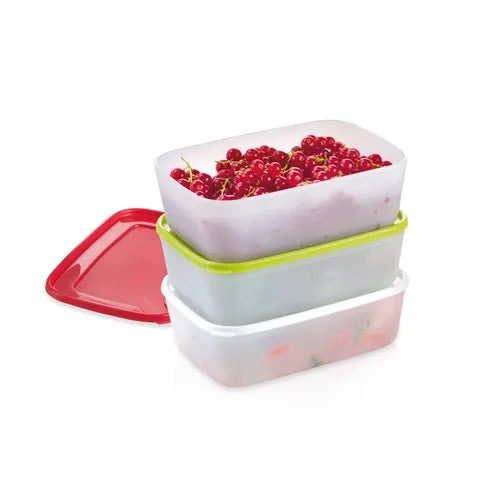 CONTENITORI IGIENICI PER FREEZER 'PURITY' 0,5 lt - 3 pezzi - TESCOMA
