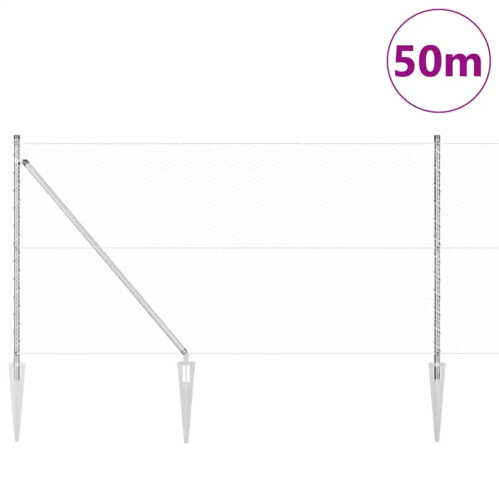 Palo della recinzione Argento 50 x 1 m (rete 25 mm) Acciaio